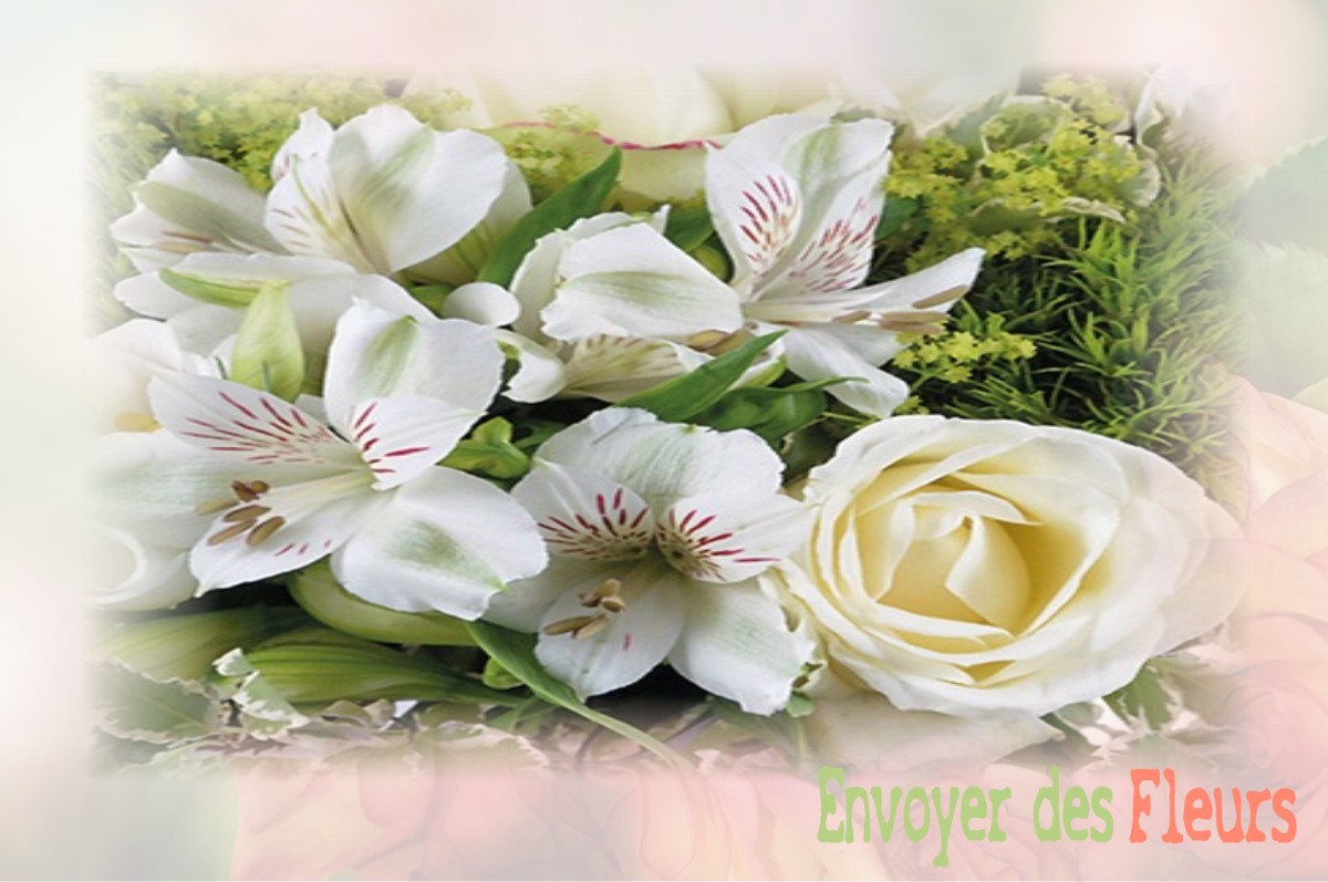envoyer des fleurs à à MONTBOUCHER-SUR-JABRON