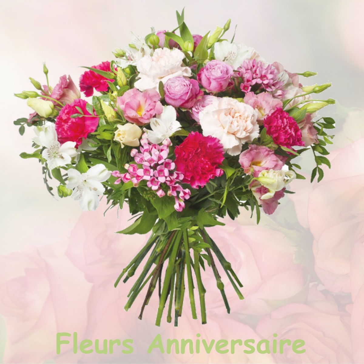 fleurs anniversaire MONTBOUCHER-SUR-JABRON